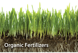 We only use Organic Fertilizers at A Good Earth Maintenance