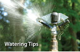 Water tips for various sprinkers type provided by A Good Earth Maintenance